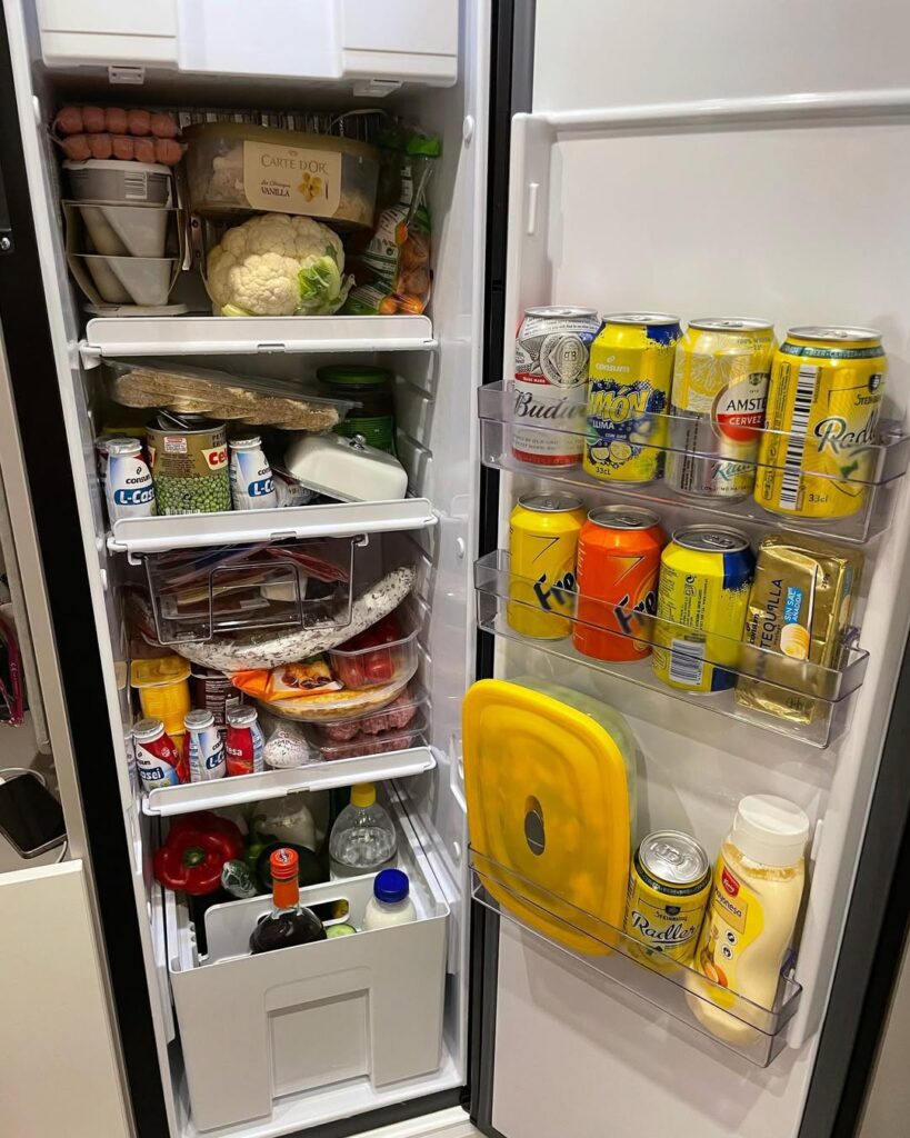 Keeping Your RV Refrigerator Clean and Reliable